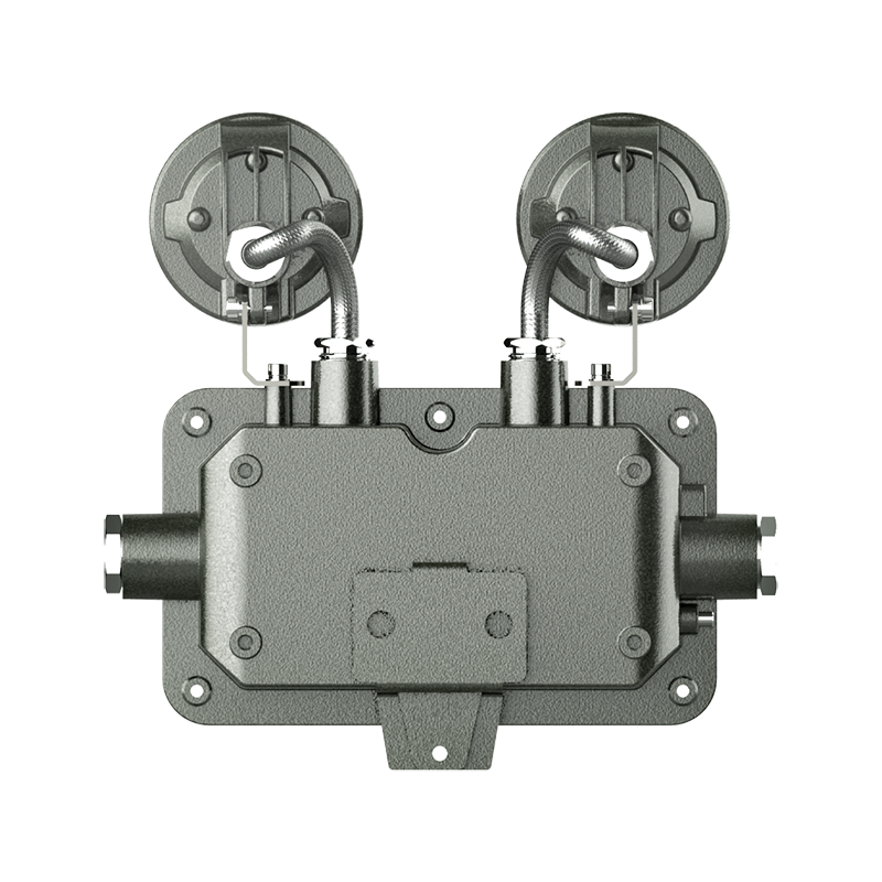 ZBFC8190/防爆双头应急灯/2*3W